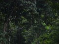 Tn DSC 3971